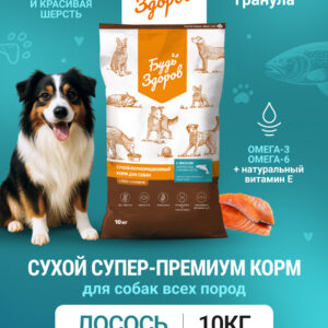 Будь Здоров. С лососем. Мелк.гр. Сух.корм для взрослых собак. Красивая шерсть. 10кг