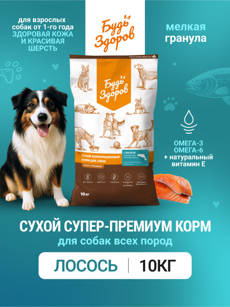 Будь Здоров. С лососем. Мелк.гр. Сух.корм для взрослых собак. Красивая шерсть. 10кг