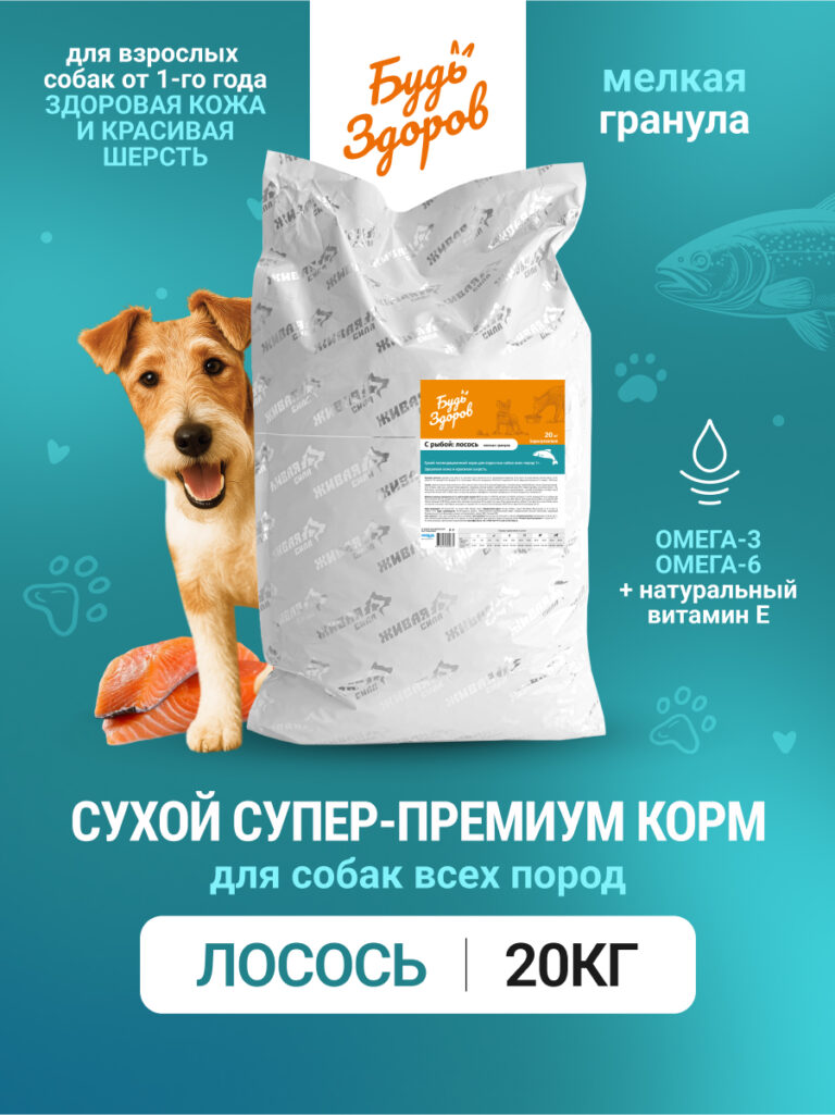 Будь Здоров. С лососем. Мелк.гр. Сух.корм для взрослых собак. Красивая шерсть. 20кг